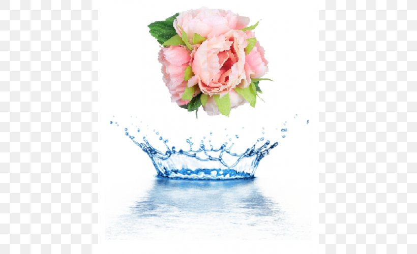 United States Vykuntapuram Water Ontario Information, PNG, 500x500px, United States, Cut Flowers, Drinking Water, Environmental Engineering, Floral Design Download Free