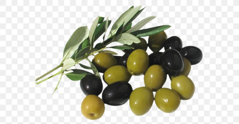 Vegetarian Cuisine Olive Oil Mediterranean Cuisine, PNG, 600x426px, Vegetarian Cuisine, Cooking Oils, Extra Virgin Olive Oil, Food, Fruit Download Free