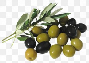 Olive Oil - Vegetarian Cuisine Olive Oil Mediterranean Cuisine PNG