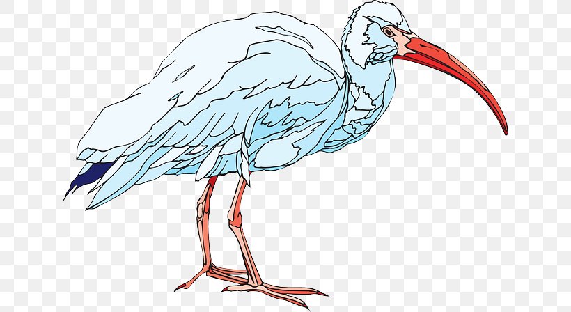 American White Ibis Bird Clip Art, PNG, 640x448px, Ibis, African Sacred Ibis, American White Ibis, Animal Figure, Artwork Download Free