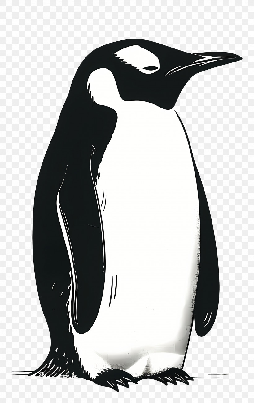 Cartoon Penguin - Black And White Penguin PNG
