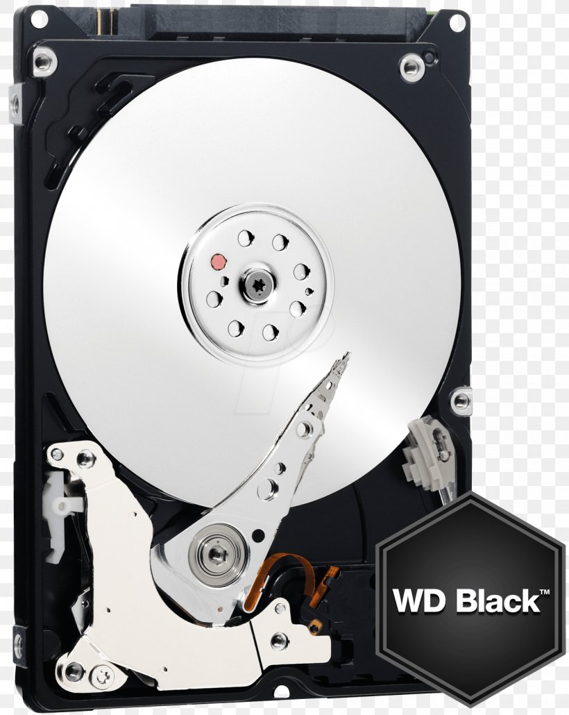 Laptop Hard Drives Serial ATA Western Digital Cache, PNG, 1241x1560px, Laptop, Cache, Computer Component, Data Storage, Data Storage Device Download Free