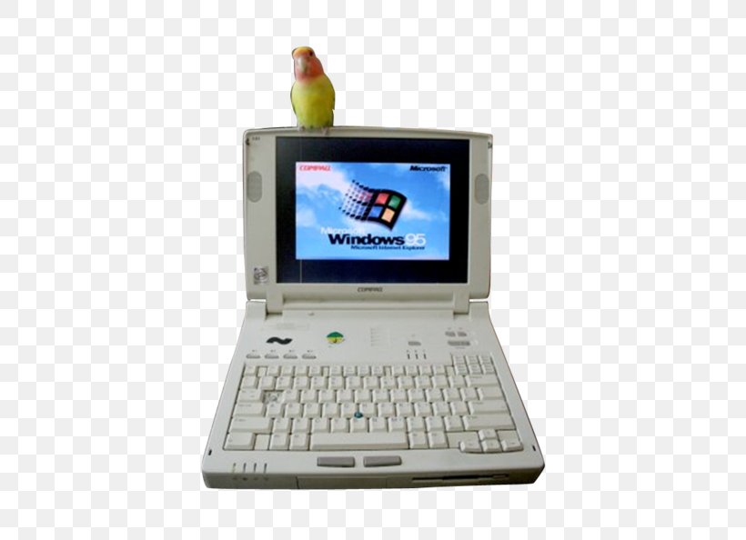 Netbook Laptop Computer Hardware Personal Computer, PNG, 500x594px, Netbook, Central Processing Unit, Computer, Computer Hardware, Computer Program Download Free