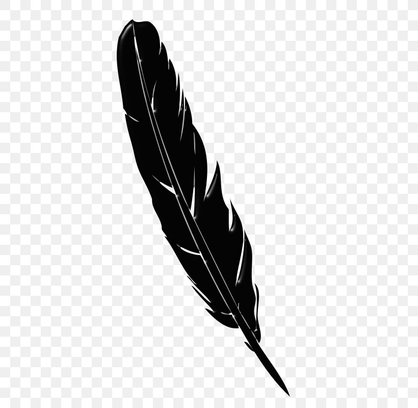Quill Pen Vector Graphics Feather, PNG, 400x800px, Quill, Black, Black And White, Blackandwhite, Drawing Download Free