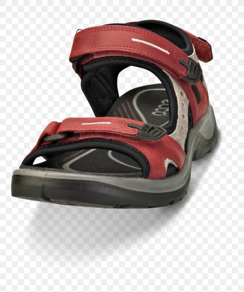 Sandal Shoe, PNG, 833x999px, Sandal, Footwear, Hardware, Outdoor Shoe, Personal Protective Equipment Download Free
