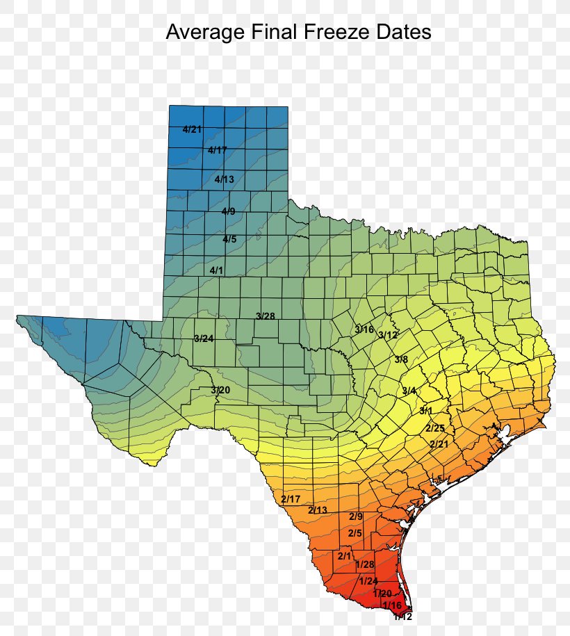 Temperature Texas Sorghum Paper Sowing, PNG, 814x915px, Temperature, Classified Advertising, Diagram, Fact, Map Download Free