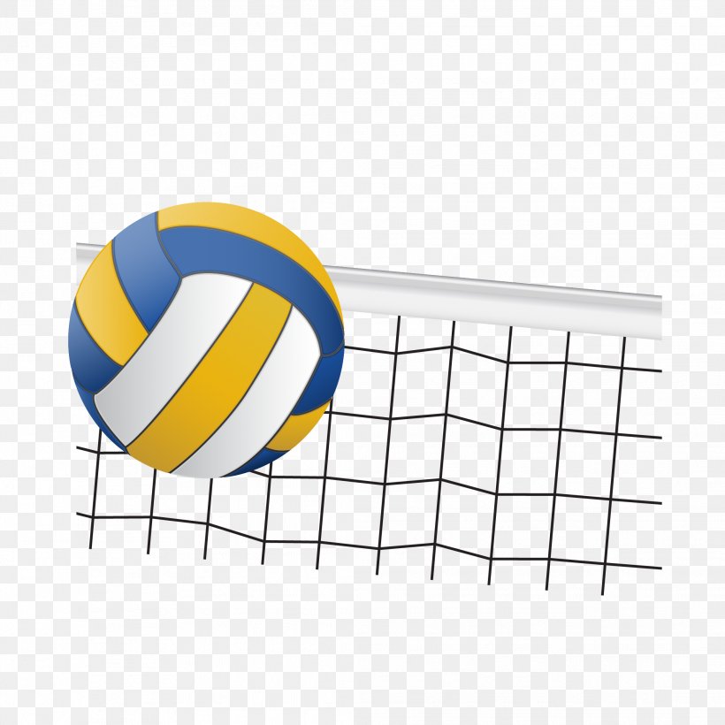 volleyball team equipment