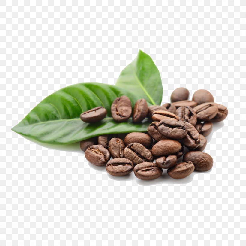 Arabica Coffee Tea Cafe Robusta Coffee, PNG, 1000x1000px, Coffee, Arabica Coffee, Bean, Cafe, Caffeine Download Free