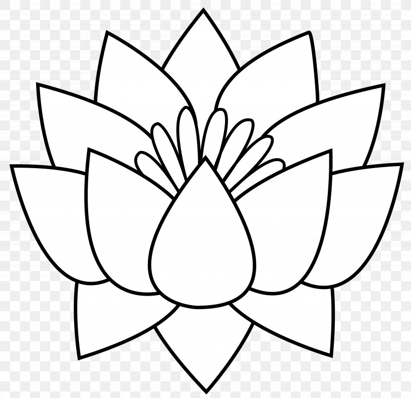 Line Art Drawing Nelumbo Nucifera Clip Art, PNG, 5953x5764px, Line Art, Area, Art, Black, Black And White Download Free