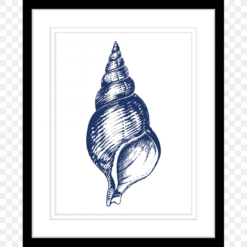 United States Navy Conch Gastropods, PNG, 1000x1000px, United States, Art, Artwork, Black And White, Conch Download Free