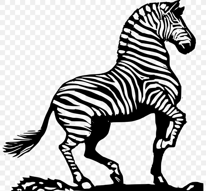 Zorse Zebra Horse Clip Art, PNG, 800x762px, Zorse, Animal Figure, Black And White, Fauna, Horse Download Free