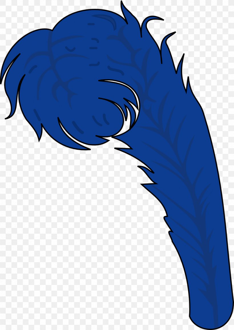 Bird Feather Clip Art, PNG, 906x1280px, Bird, Beak, Chicken, Claw, Cobalt Blue Download Free