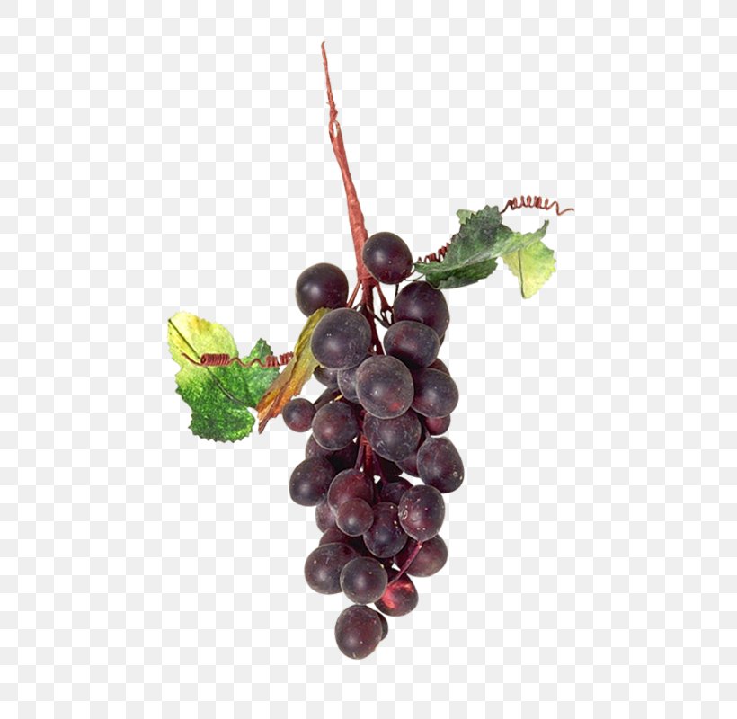 Grape Auglis Zante Currant, PNG, 481x800px, Grape, Auglis, Food, Fruit, Grape Seed Extract Download Free