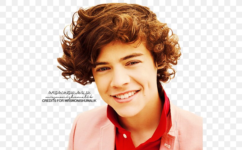 Harry Styles: Live On Tour Holmes Chapel The X Factor One Direction Singer-songwriter, PNG, 555x510px, Watercolor, Cartoon, Flower, Frame, Heart Download Free