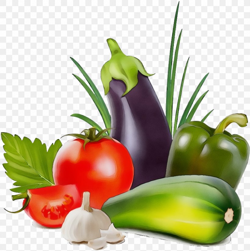 Tomato Cartoon, PNG, 837x841px, Watercolor, Aubergines, Bell Pepper, Capsicum, Chili Pepper Download Free