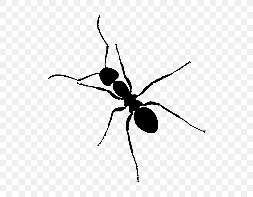 Black Garden Ant Insect Clip Art, PNG, 640x640px, Ant, Ant Colony, Argentine Ant, Arthropod, Banded Sugar Ant Download Free