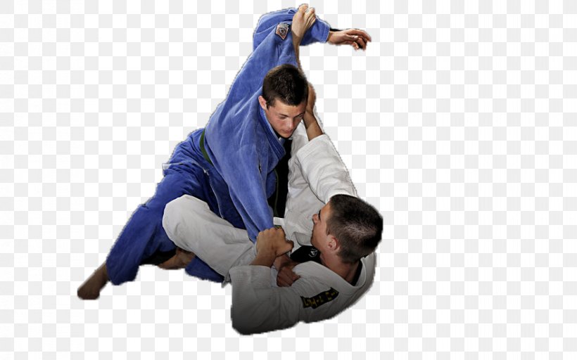 Brazilian Jiu-jitsu Jujutsu Martial Arts Judo Self-defense, PNG, 880x550px, Brazilian Jiujitsu, Aggression, Brazilian Jiu Jitsu, Brazilian Jiujitsu Gi, Capoeira Download Free
