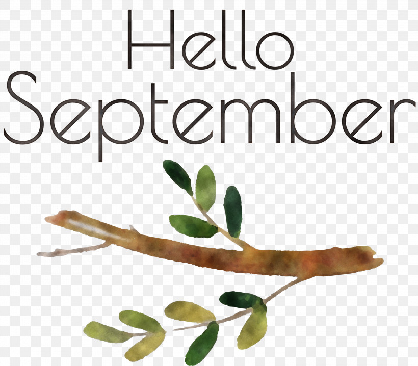 Hello September September, PNG, 3000x2627px, Hello September, Biology, Medicine, Meter, Plant Download Free