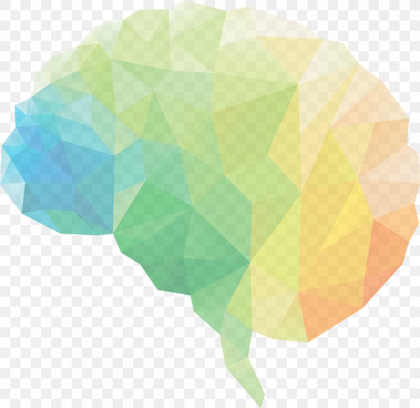 Human Brain Neuroscience Brain Damage Brain Injury, PNG, 1200x1169px, Brain, Aging Brain, Brain Damage, Brain Injury, Cognitive Neuroscience Download Free
