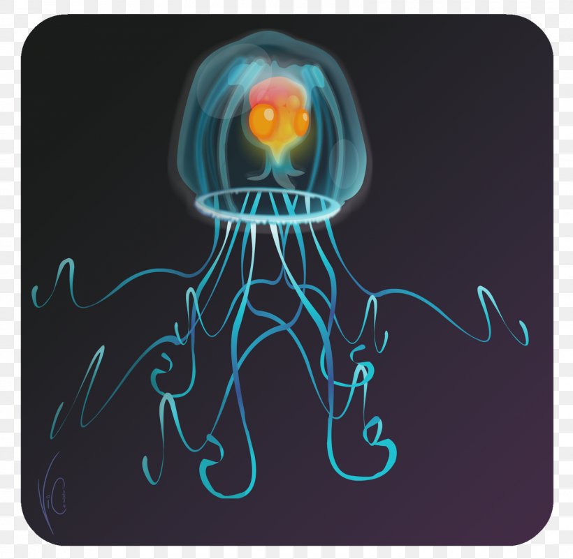 Immortal Jellyfish Turritopsis Nutricula Marine Invertebrates, PNG, 1600x1563px, Immortal Jellyfish, Anglerfish, Cephalopod, Electric Blue, Fruit Download Free