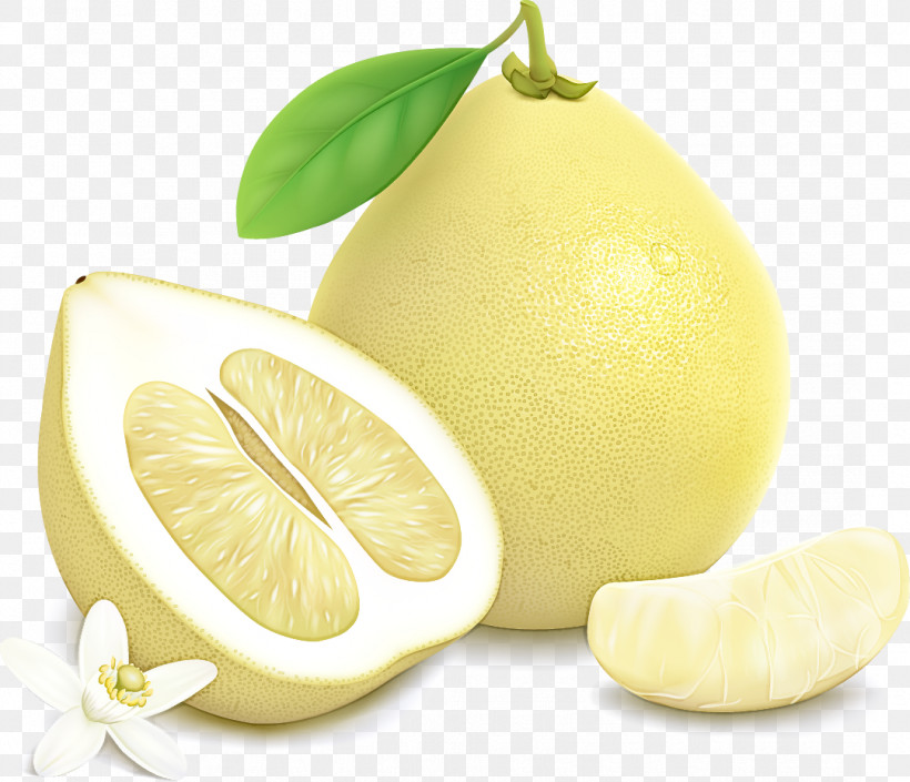 Lemon Persian Lime Lemon Peel Citron Citrus, PNG, 1081x930px, Lemon, Citric Acid, Citron, Citrus, Food Download Free