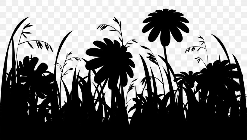 Asian Palmyra Palm Silhouette Desktop Wallpaper Palm Trees Photograph, PNG, 8000x4525px, Asian Palmyra Palm, Arecales, Attalea Speciosa, Black, Black M Download Free