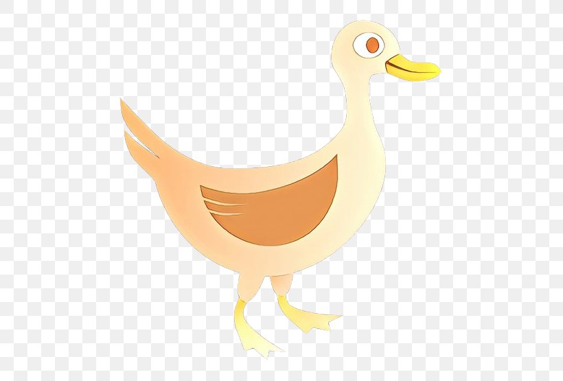 Bird Duck Goose Beak Water Bird, PNG, 555x555px, Cartoon, Beak, Bird, Duck, Ducks Geese And Swans Download Free