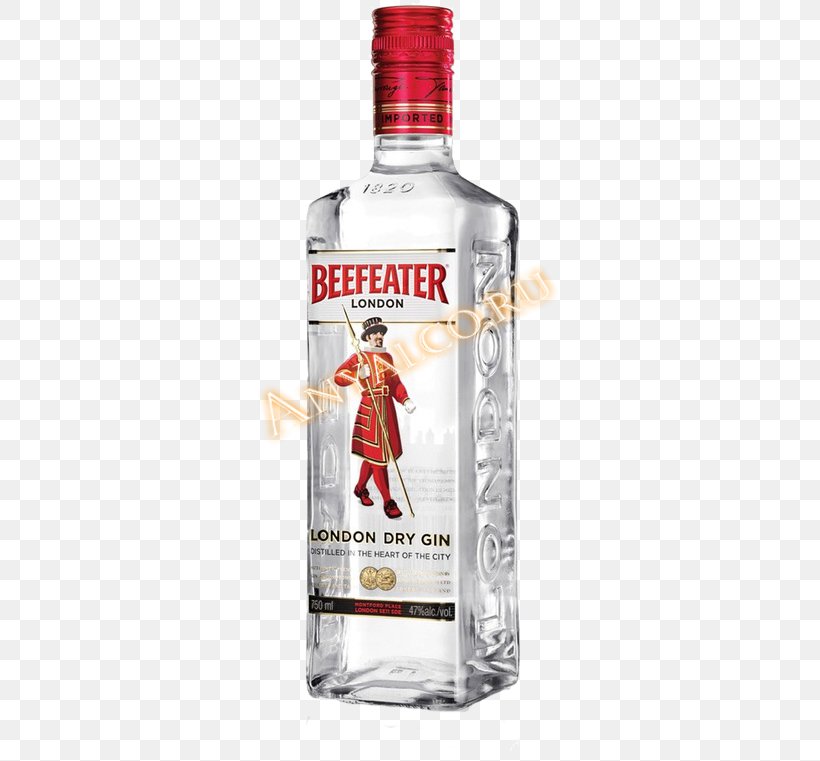 Gin Distilled Beverage Tanqueray Whiskey Seagram, PNG, 500x761px, Gin, Absolut Vodka, Alcoholic Beverage, Angelica Archangelica, Beefeater Gin Download Free
