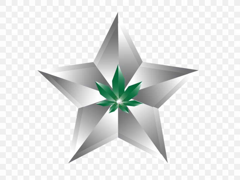 Green Star Plant Logo, PNG, 1024x768px, Green, Logo, Plant, Star Download Free