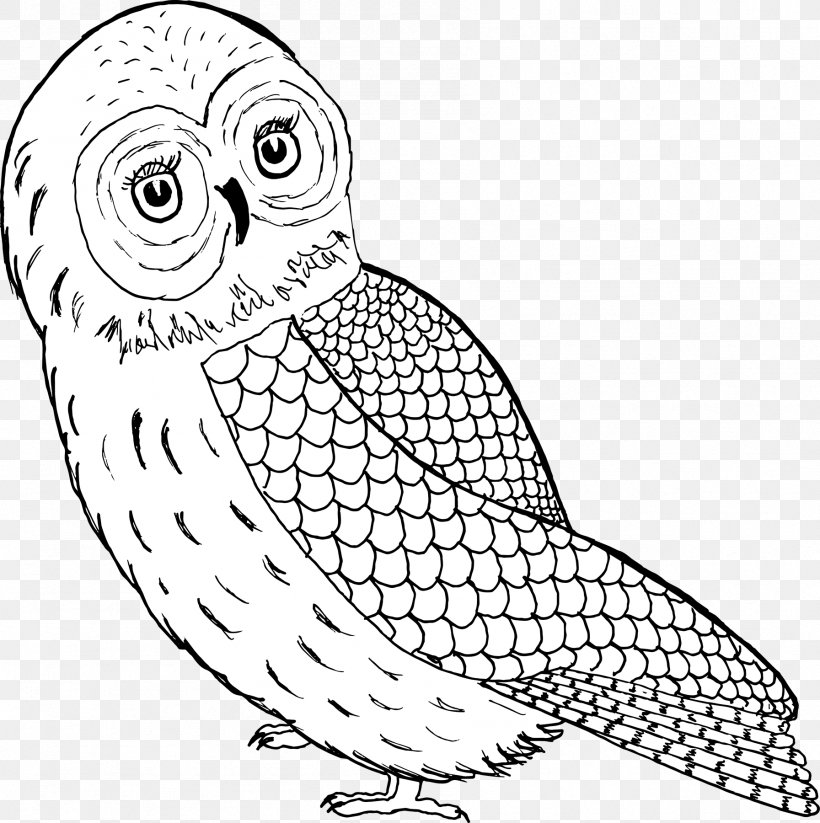 Owl Fauna Wildlife Black Line Art, PNG, 1793x1800px, Owl, Animal, Animal Figure, Beak, Bird Download Free