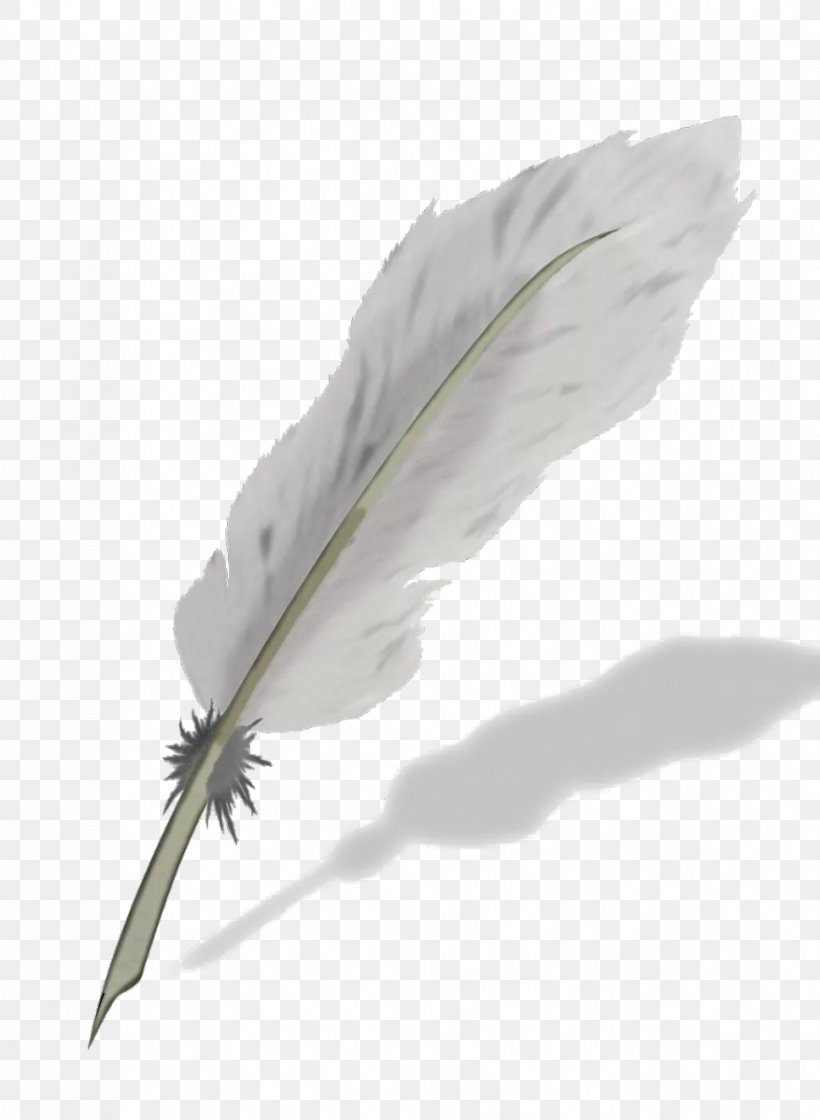 Feather Quill Nib Ballpoint Pen, PNG, 878x1200px, Feather, Anserinae, Ballpoint Pen, Bird, Drawing Download Free