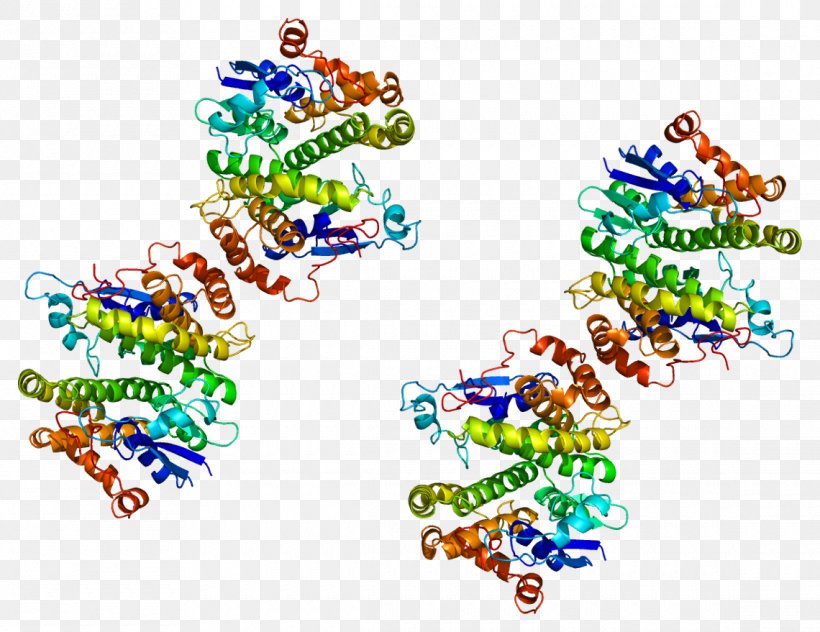 GSTM4 Glutathione S-transferase M4 Protein Enzyme, PNG, 1140x879px, Glutathione Stransferase, Area, Art, Cytosol, Enzyme Download Free