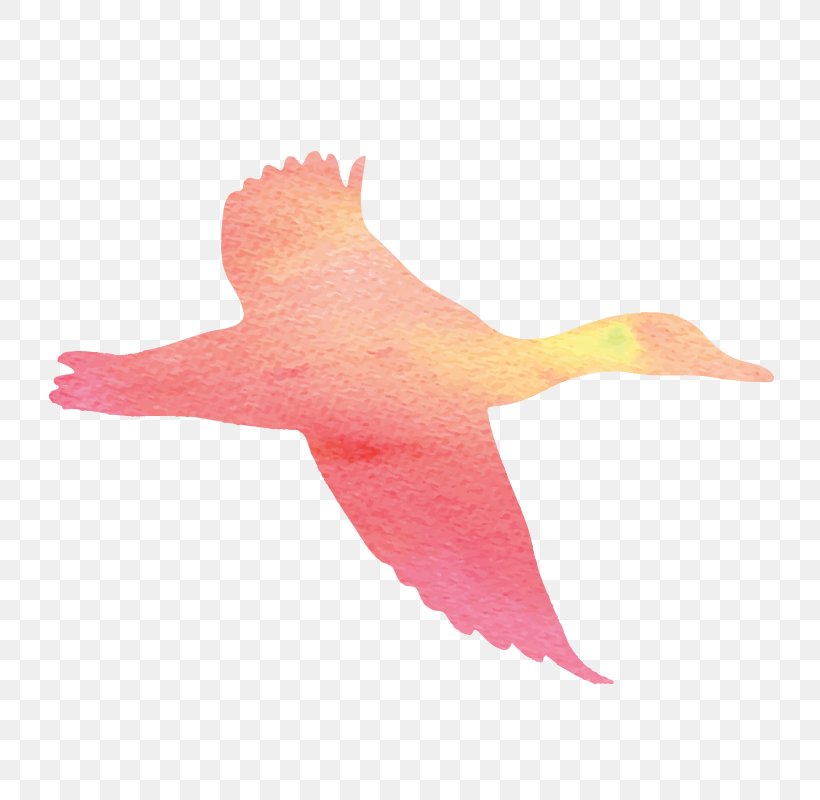 Vector Graphics Image Silhouette Cygnini, PNG, 800x800px, Silhouette, Animation, Beak, Bird, Cartoon Download Free