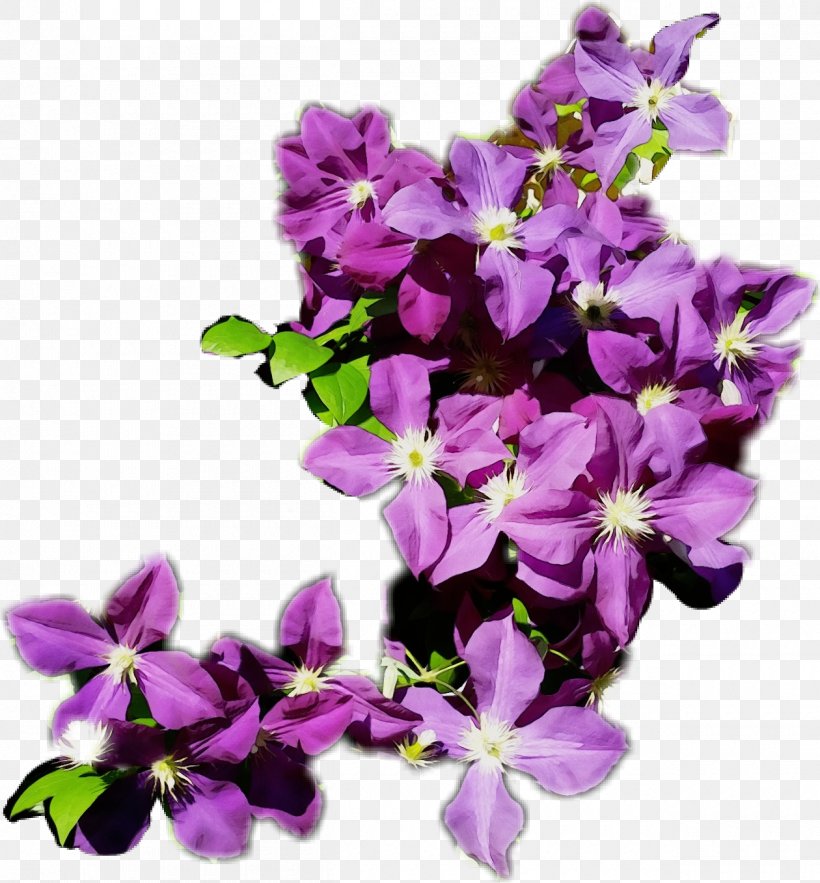 Lavender, PNG, 1260x1357px, Watercolor, Flower, Flowering Plant, Lavender, Lilac Download Free