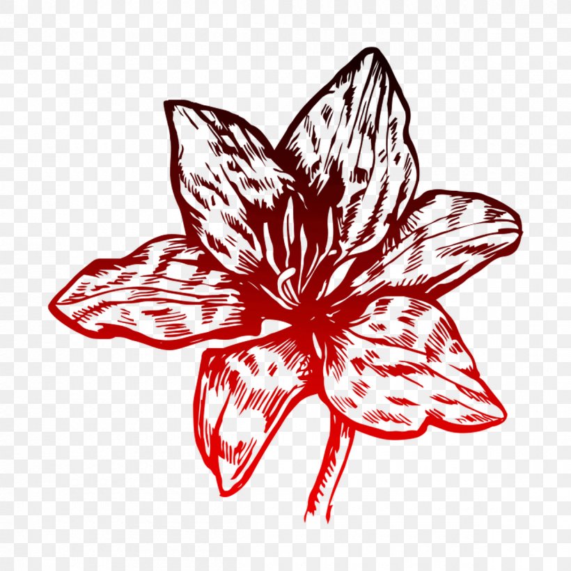 Premium T-Shirt Flower Lily, PNG, 1200x1200px, Tshirt, Amaryllis Belladonna, Blackandwhite, Blume, Botany Download Free