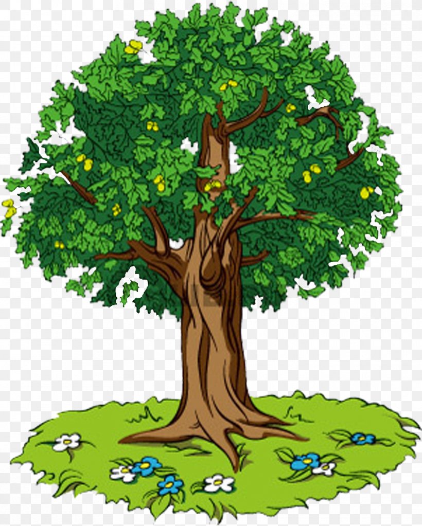 Tree Oak Lesson Self-reflection Knowledge, PNG, 961x1200px, Tree, Art, Branch, Cartoon, Class Download Free