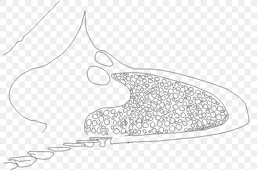 Drawing Black And White Shoe /m/02csf, PNG, 800x543px, Drawing, Area, Artwork, Black And White, Fish Download Free