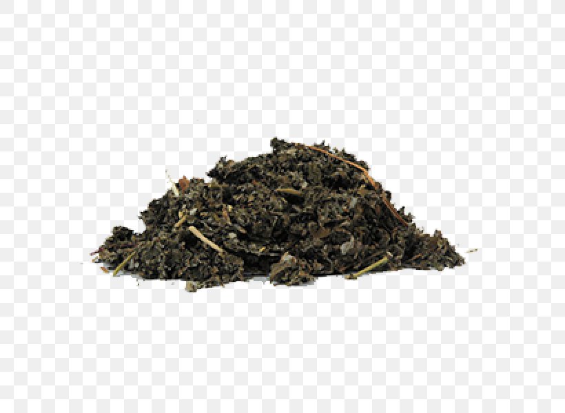 Soil Green Tea Chun Mee Compost, PNG, 600x600px, Soil, Assam Tea, Bancha, Ceylon Tea, Chun Mee Download Free