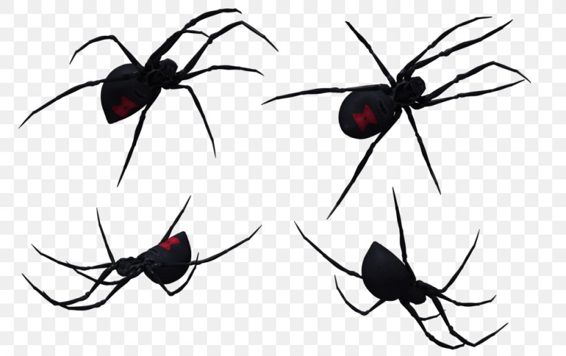 Widow Spiders Clip Art, PNG, 1024x645px, Spider, Arthropod, Brown Recluse Spider, Drawing, Free Content Download Free