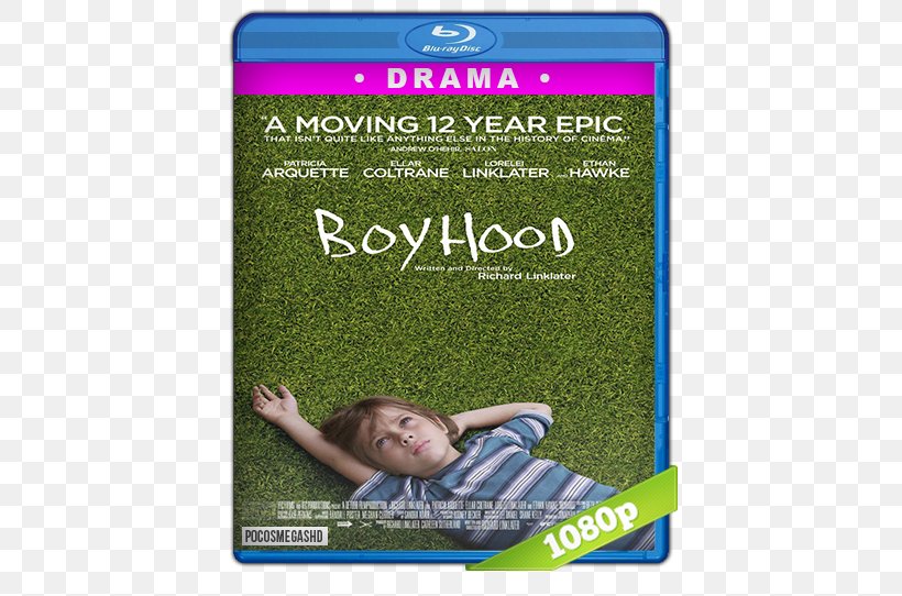 1080p Blu-ray Disc Film High-definition Video Dolby Digital, PNG, 542x542px, Watercolor, Cartoon, Flower, Frame, Heart Download Free
