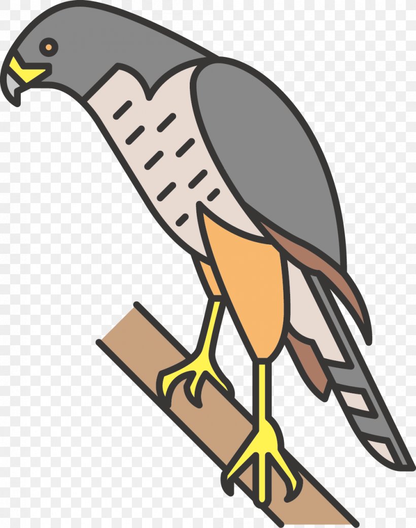 Beak Bird Of Prey Clip Art, PNG, 1002x1271px, Beak, Bird, Bird Of Prey, Fauna, Wing Download Free