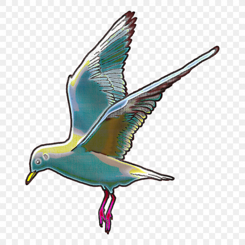 Beak Birds Line Art European Herring Gull Drawing, PNG, 1400x1400px, Beak, Bird Flight, Birds, Cartoon, Drawing Download Free