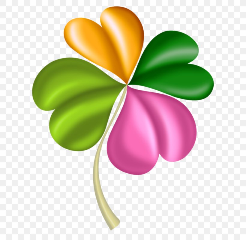 Ireland Four-leaf Clover Clip Art, PNG, 640x800px, Ireland, Clover, Flower, Flowering Plant, Fourleaf Clover Download Free