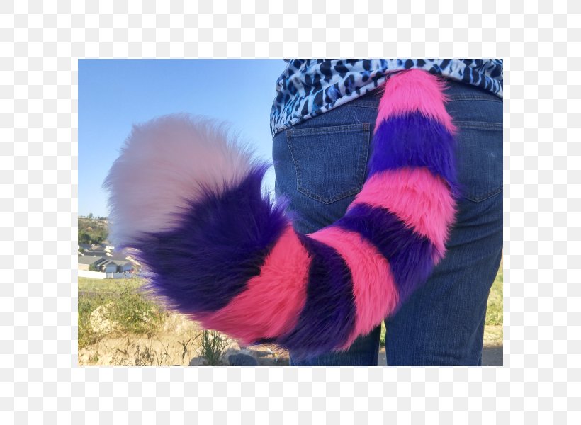 Fur Tail Pink Cat Cheshire Cat Maine Coon, PNG, 600x600px, Fur, Animal, Blue, Cat, Cheshire Cat Download Free