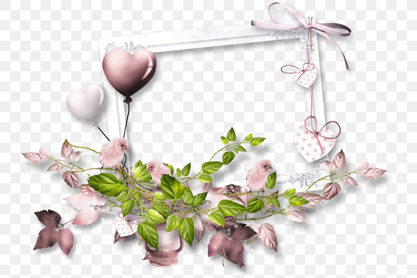 Picture Frames Photography Clip Art, PNG, 737x546px, Picture Frames, Blossom, Branch, Drawing, Flora Download Free