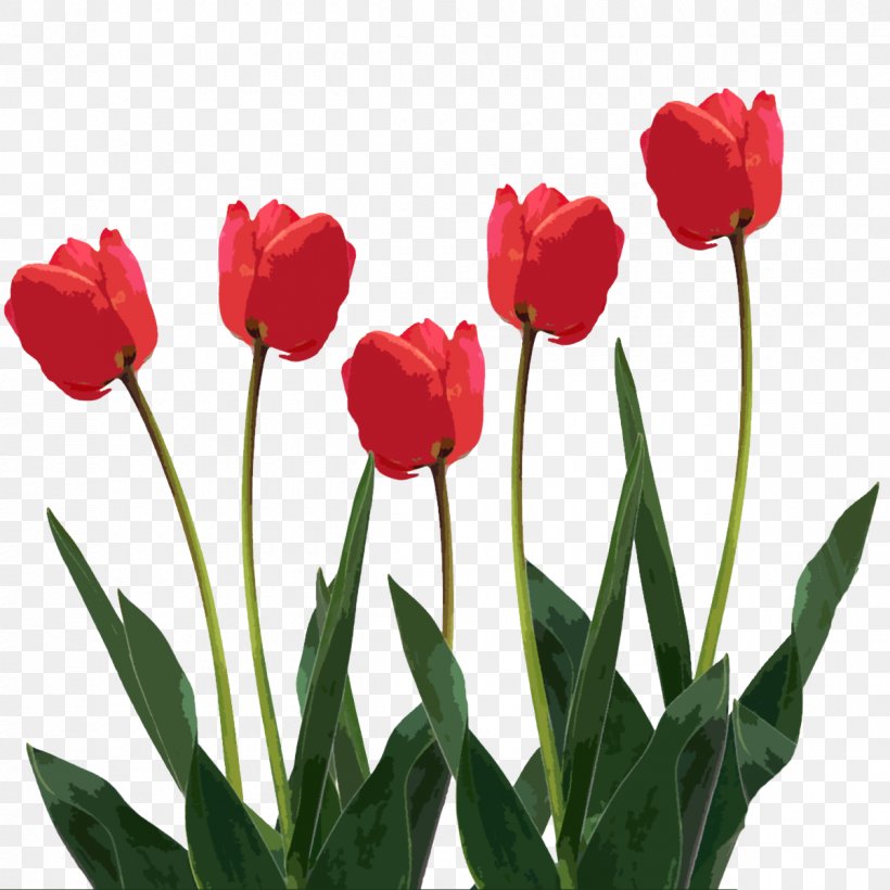 Tulip Flower Clip Art, PNG, 1200x1200px, Tulip, Cut Flowers, Flower, Flower Bouquet, Flowering Plant Download Free