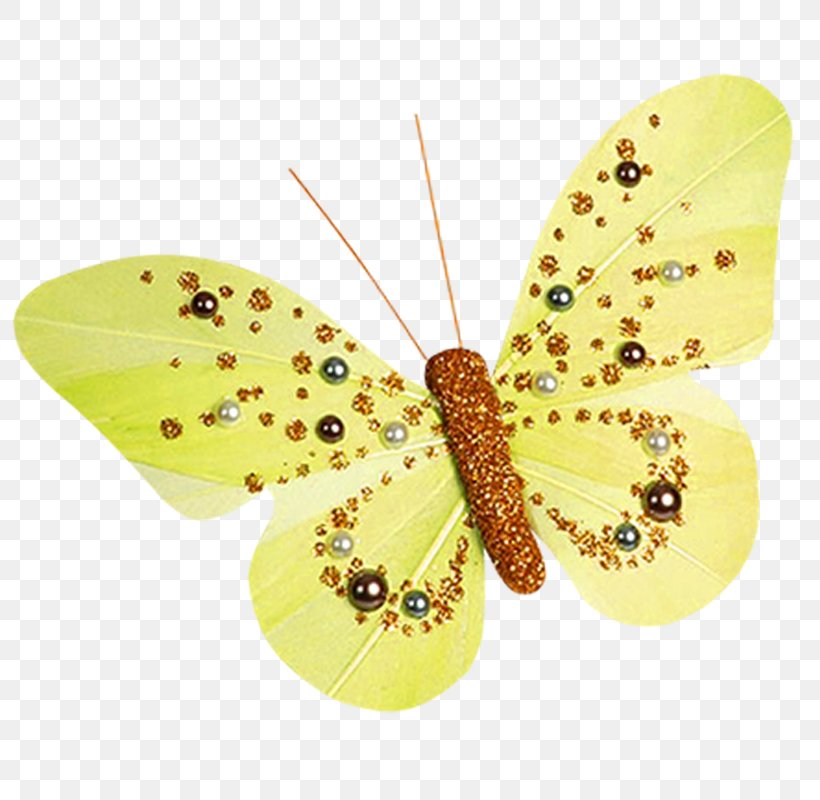Butterfly Pieridae Image Clip Art, PNG, 800x800px, Butterfly, Arthropod, Color, Green, Insect Download Free