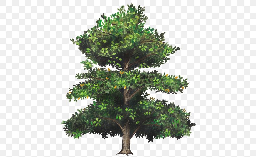 Christmas Tree Tinsel Branch, PNG, 750x502px, Tree, Almond, Artificial Christmas Tree, Branch, Christmas Download Free
