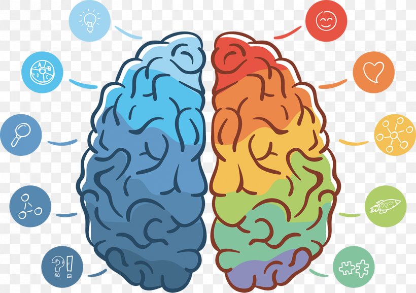 Lateralization Of Brain Function Neuromarketing Agy, PNG, 1240x874px, Watercolor, Cartoon, Flower, Frame, Heart Download Free