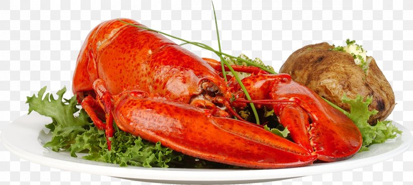 Lobster Thermidor Dish Vegetable, PNG, 1200x538px, Lobster Thermidor, Animal Source Foods, Crab Meat, Decapoda, Dish Download Free